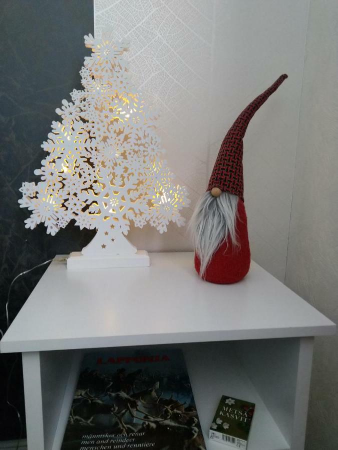 Apartment Neitamo44 Ivalo Kültér fotó